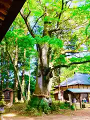 中村八幡宮(栃木県)