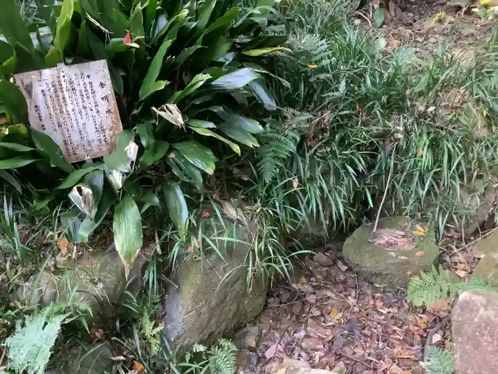 尾張冨士大宮浅間神社の自然