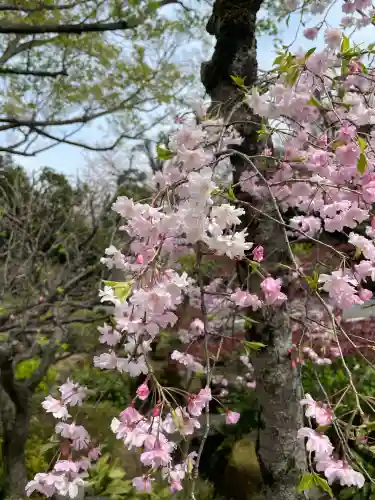 安養院(東京都)