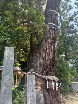 大國魂神社(福島県)