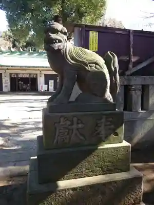 駒込天祖神社の狛犬