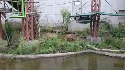旭川神社の周辺