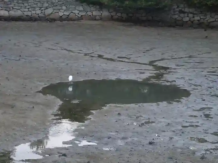厳島神社(広島県)