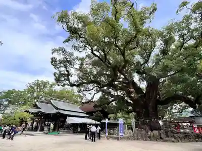 宇美八幡宮(福岡県)
