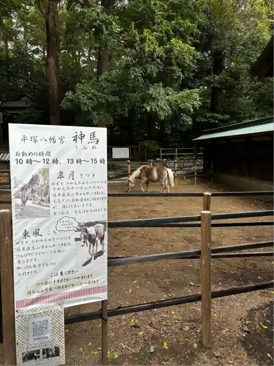 平塚八幡宮(神奈川県)