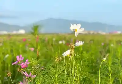 伊勢の国 四天王寺(三重県)
