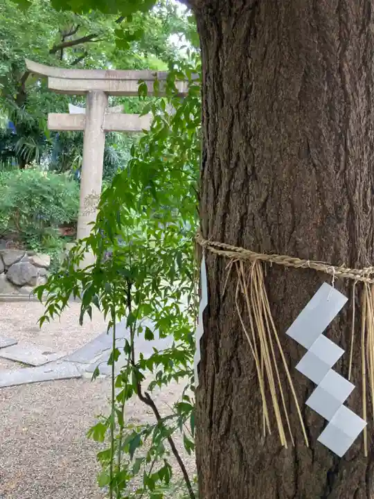 安居神社のその他建物