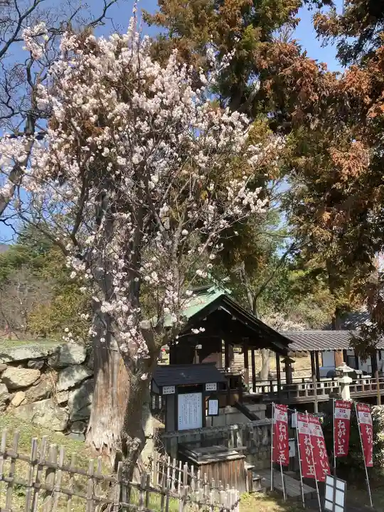 眞田神社(長野県)
