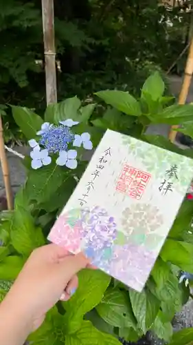 阿佐ヶ谷神明宮の御朱印