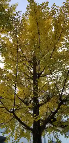 高木神社(東京都)