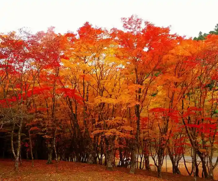 零羊崎神社の自然