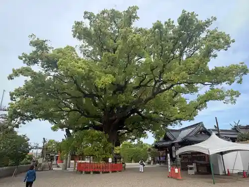 百舌鳥八幡宮(大阪府)