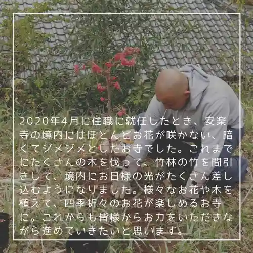 天王山 安楽寺(福井県)