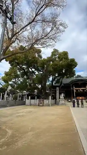 石切劔箭神社(大阪府)