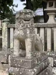 素盞嗚神社の狛犬