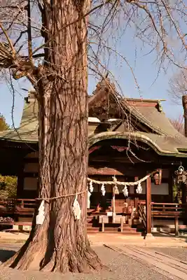 賀羅加波神社(広島県)