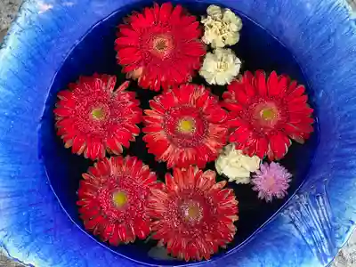 川越八幡宮(埼玉県)