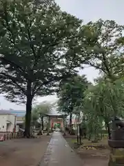 氷川神社の鳥居