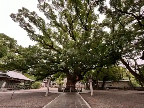 大麻比古神社(徳島県)