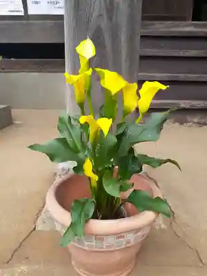 伏木香取神社(茨城県)