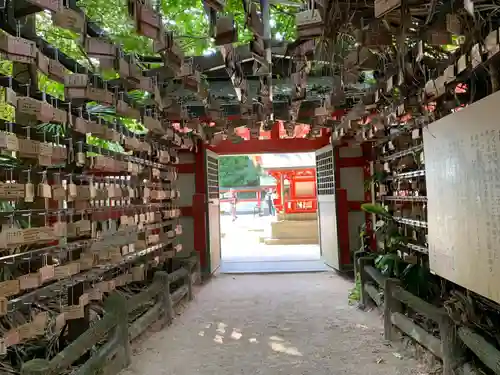 青島神社（青島神宮）の絵馬