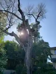 和泉貴船神社(和泉熊野神社境外末社)(東京都)