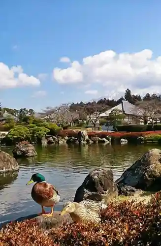 大石寺の建物その他