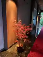 本法寺(京都府)