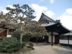 中宮寺(奈良県)