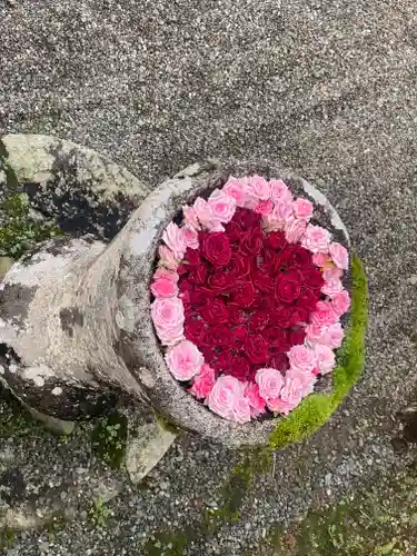 丹生都比売神社(和歌山県)