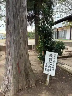 櫻ヶ丘神社(千葉県)