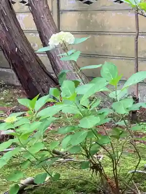 寿福寺(神奈川県)