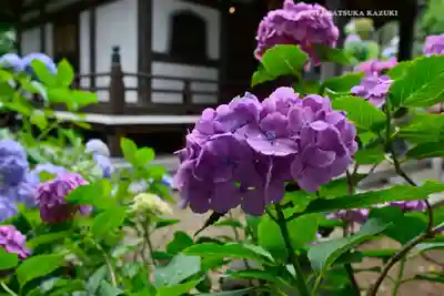 妙楽寺(神奈川県)