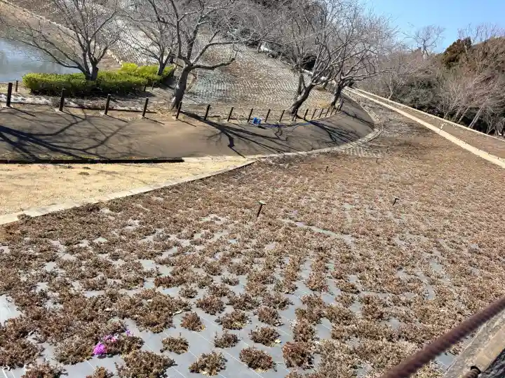 東本願寺本廟 牛久浄苑(牛久大仏)の{uncategorized: "未分類", other: "その他", undefined: "問題あり", building: "その他建物", grave: "お墓", sacred_gate: "鳥居", guardian: "狛犬", statue: "像", buddha: "仏像", history: "歴史", nature: "自然", garden: "庭園", animal: "動物", pagoda: "塔", temizu: "手水舎", mountain_gate: "山門・神門", sanctuary: "本殿・本堂", subordinate: "末社・摂社", art: "芸術", scenery: "景色", jizo: "地蔵", ema: "絵馬", goshuin: "御朱印", omikuji: "おみくじ", items: "授与品その他", amulet: "お守り", goshuincho: "御朱印帳", eats: "食事", festival: "お祭り", votive_dance: "神楽", shichigosan: "七五三参", wedding: "結婚式", experience: "体験その他", initially: "初詣", around: "周辺", anti_infection: "感染症対策"}