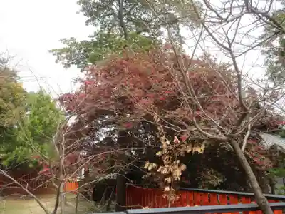 玉津島神社(和歌山県)