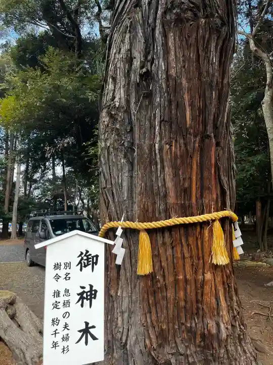 息栖神社の{uncategorized: "未分類", other: "その他", undefined: "問題あり", building: "その他建物", grave: "お墓", sacred_gate: "鳥居", guardian: "狛犬", statue: "像", buddha: "仏像", history: "歴史", nature: "自然", garden: "庭園", animal: "動物", pagoda: "塔", temizu: "手水舎", mountain_gate: "山門・神門", sanctuary: "本殿・本堂", subordinate: "末社・摂社", art: "芸術", scenery: "景色", jizo: "地蔵", ema: "絵馬", goshuin: "御朱印", omikuji: "おみくじ", items: "授与品その他", amulet: "お守り", goshuincho: "御朱印帳", eats: "食事", festival: "お祭り", votive_dance: "神楽", shichigosan: "七五三参", wedding: "結婚式", experience: "体験その他", initially: "初詣", around: "周辺", anti_infection: "感染症対策"}