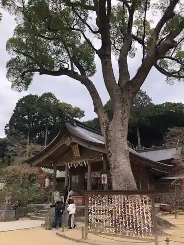 宝満宮竈門神社の本殿