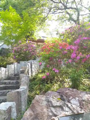 阿智神社のその他建物