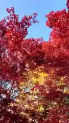 相馬神社(北海道)