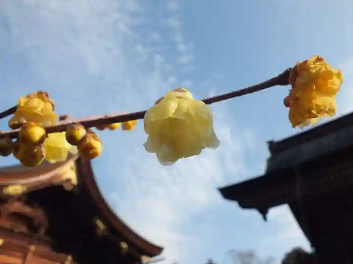 沙沙貴神社のその他建物