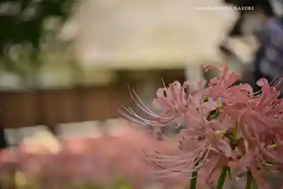 横浜　西方寺(神奈川県)