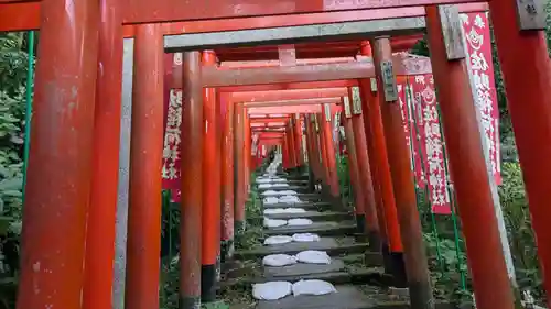 佐助稲荷神社の鳥居