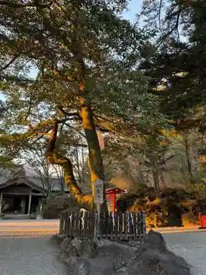 霧島神宮(鹿児島県)