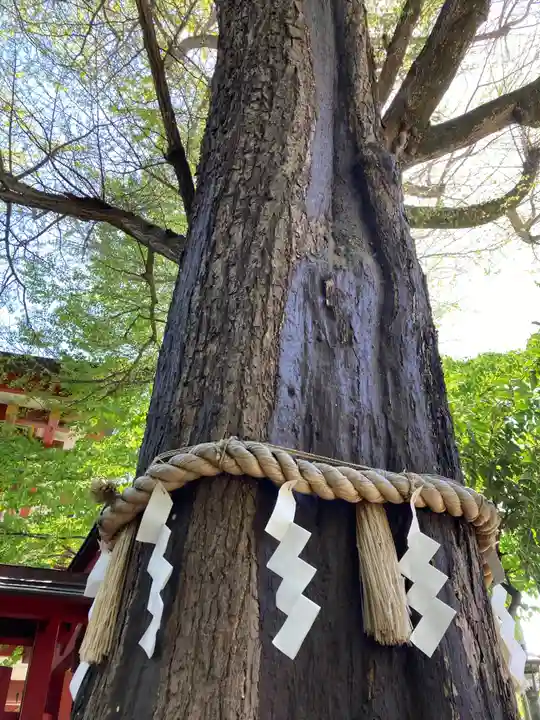 秩父神社の自然