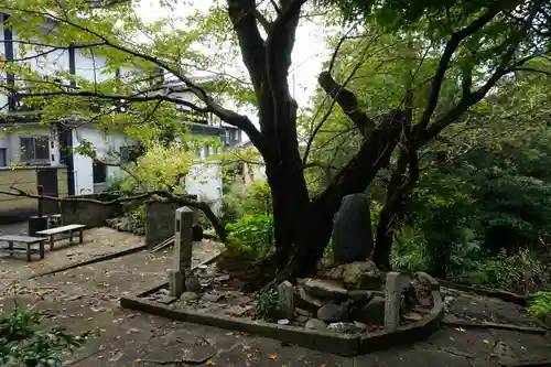 智積院妙見堂の自然