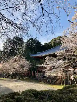 醍醐寺(京都府)