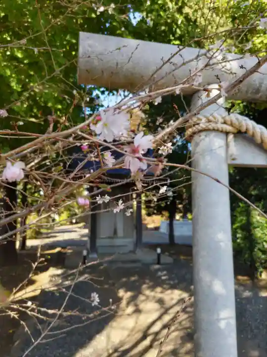 延命寺の末社・摂社