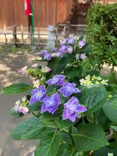 花園稲荷神社の自然