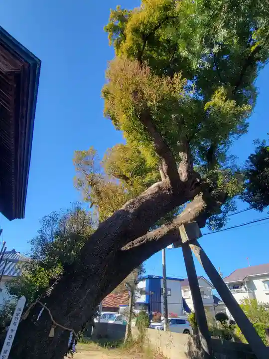 三島大明神社(愛媛県)