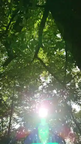 備中国總社(岡山県)